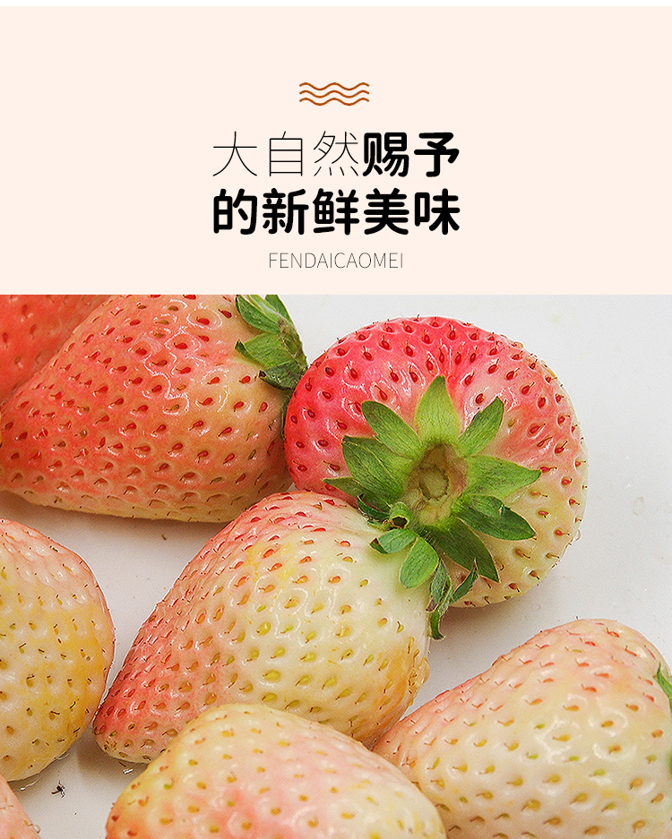 粉黛白草莓图片