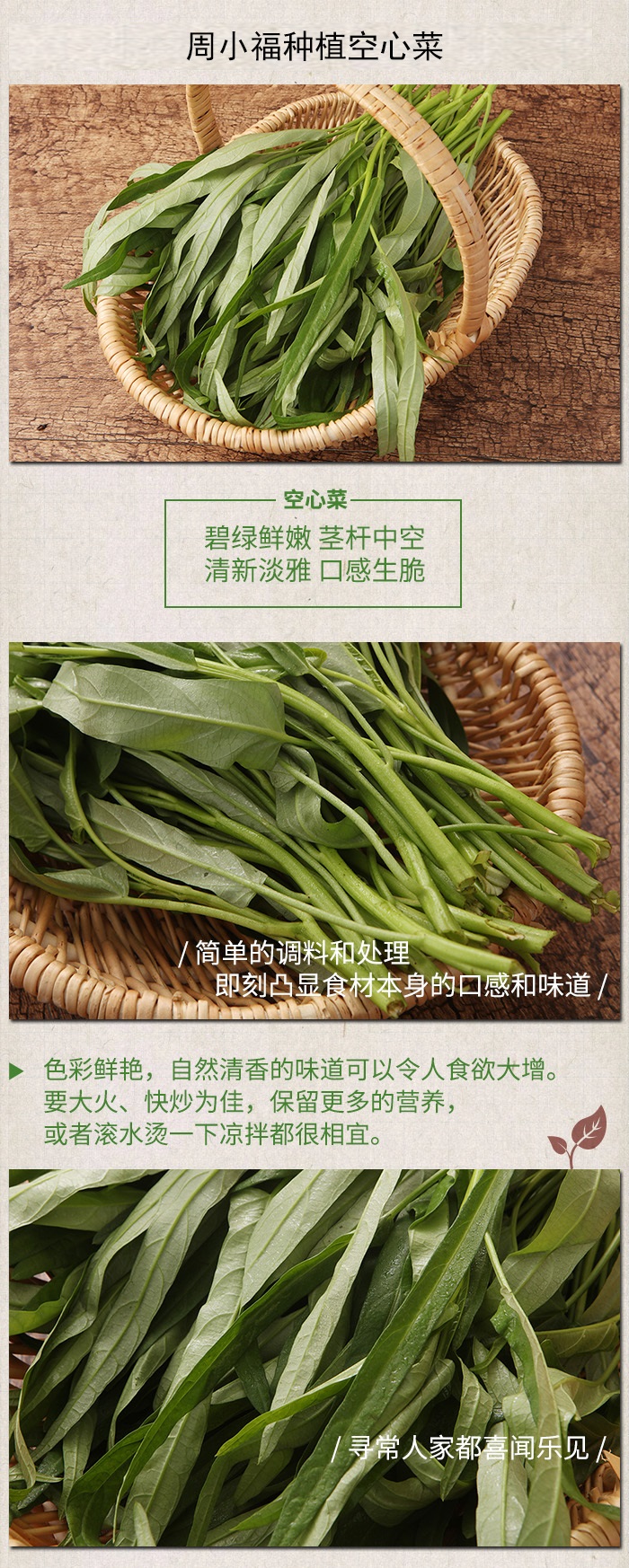 空心菜简介图片